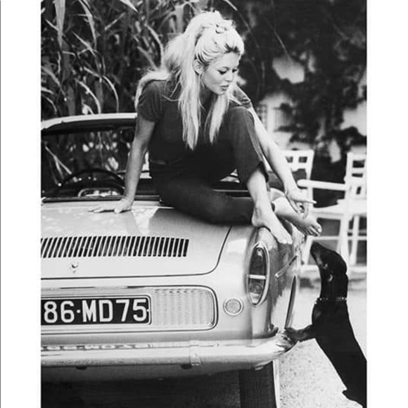 🌟Dachshund Pals Wall Art - Picture 10 of 16